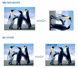 华云数据对象存储服务COS 富媒体服务之图片处理与存储支持